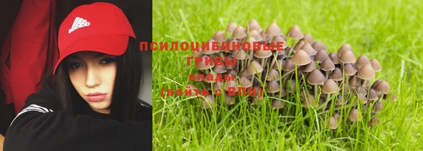 ALPHA-PVP Баксан