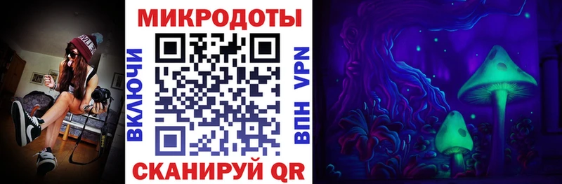 сколько стоит  Заозёрск  МЕГА онион  Галлюциногенные грибы Cubensis 